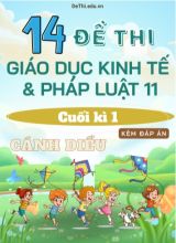 Tuyển tập 14 Đề thi GDKT&PL Lớp 11 (Cánh Diều) cuối học kì 1 (Kèm đáp án)